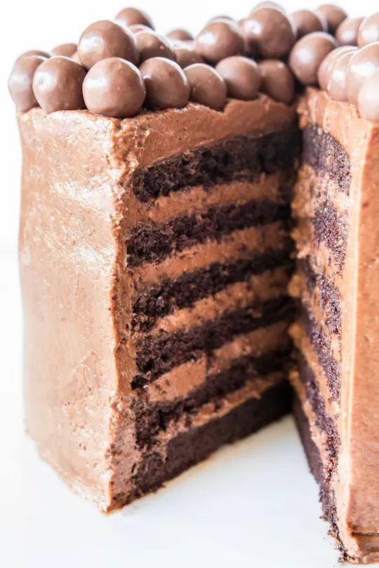 Decoding the Layers: What Goes Into Your 7 Layer Chocolate Mousse Cake?