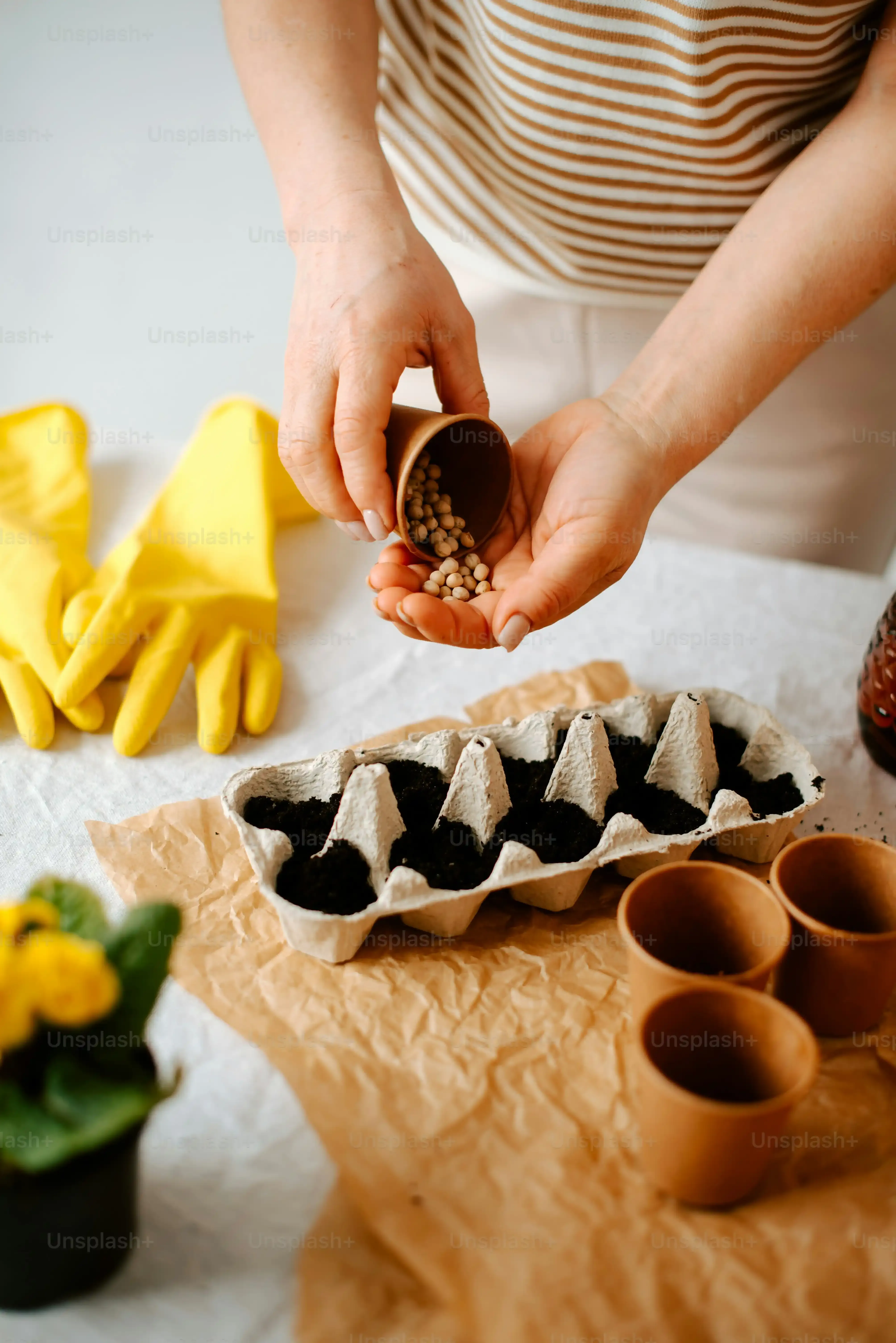 Why Attempt a Chocolate Mango Mousse Cake Recipe Anyway?